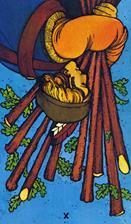 Morgangreer-diezbastos-inv