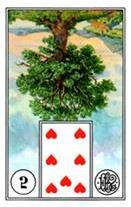 Arbol-inv