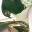 Avatar-login-angieavenita