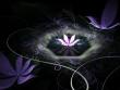 Avatar-login-Aliada