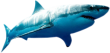 Avatar-login-DeepBlue
