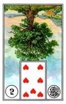 Arbol Invertida