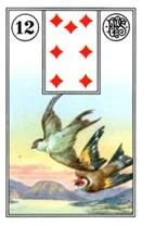 Pajaros