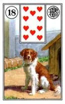Perro